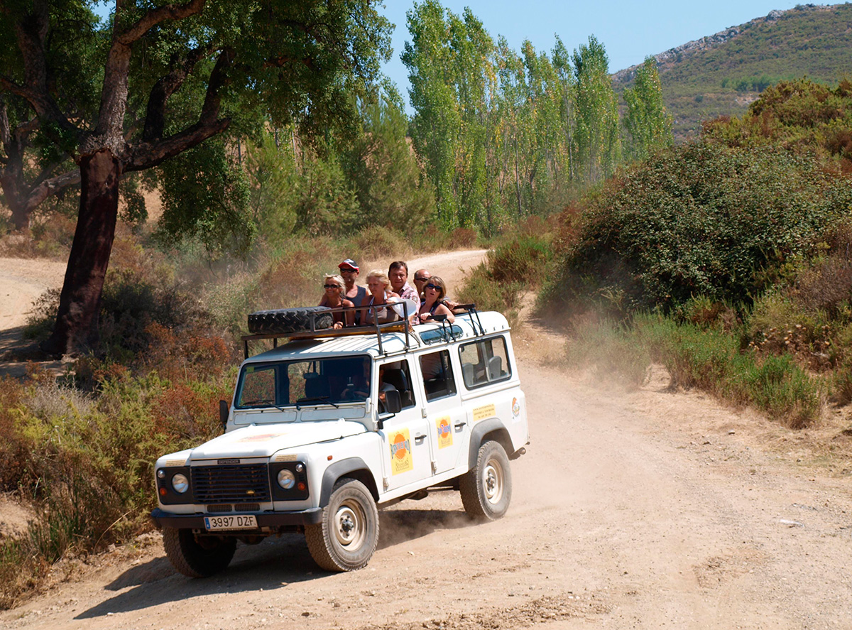 Jeep Safari I