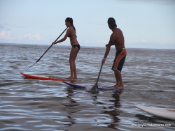 Stand Up Paddle Surf - SUP